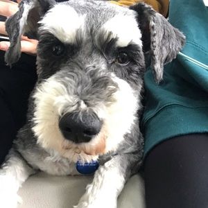 Meet your Posher, Lisa